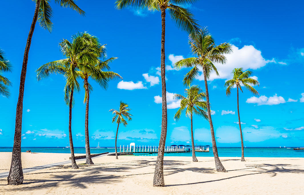 Waikiki Beaches: Sunbathing, Swimming, And Surfing